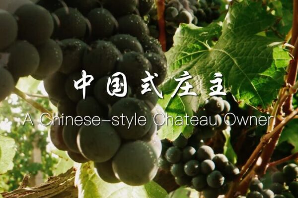 Un Sueño que Fusiona Oriente y Occidente: Zhang Yanzhi Construye un Château Chino en las Montañas Helan Un_Suen_o_que_Fusiona_Oriente_y_Occidente__Zhang_Yanzhi_Construye_un_Cha_teau_Chino_en_las_Montan_as_Helan video poster
