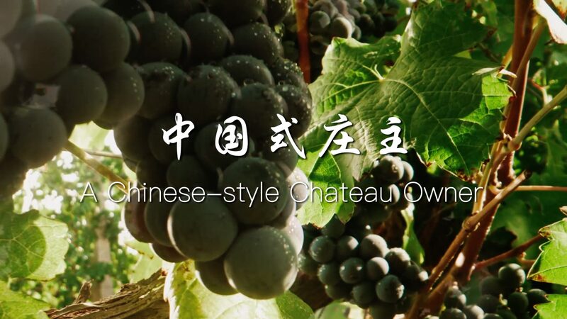Un_Suen_o_que_Fusiona_Oriente_y_Occidente__Zhang_Yanzhi_Construye_un_Cha_teau_Chino_en_las_Montan_as_Helan video poster