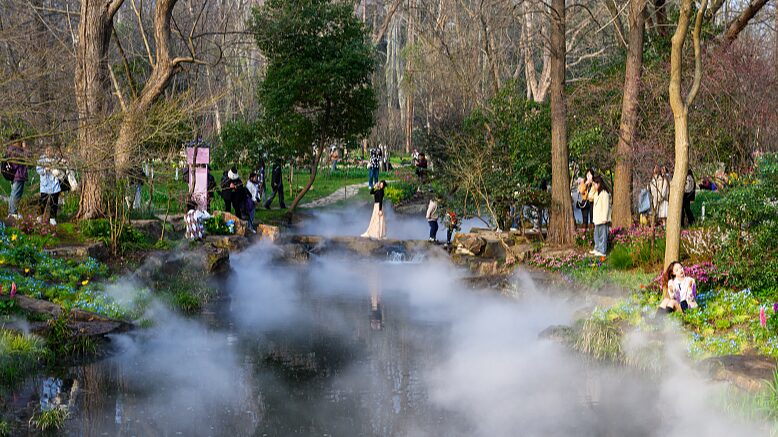 Un_jardi_n_florido_en_Nanjing_crea_un_paisaje_primaveral_de_cuento_de_hadas