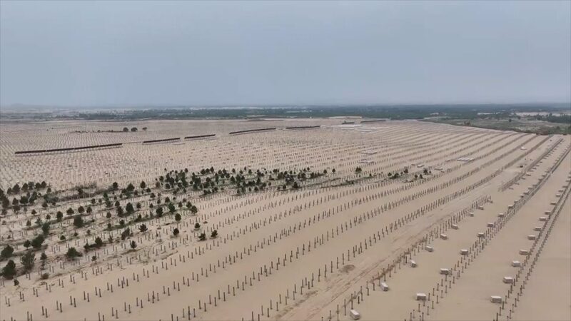 _Unidos_por_la_Tierra____Celebramos_el_Di_a_Mundial_contra_la_Desertificacio_n_y_la_Sequi_a video poster