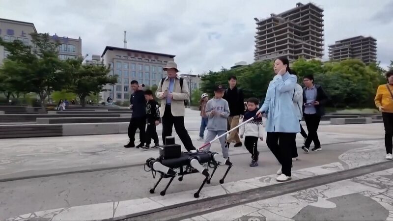 Universidad_china_desarrolla_robot_gui_a_de_seis_patas_para_personas_ciegas video poster