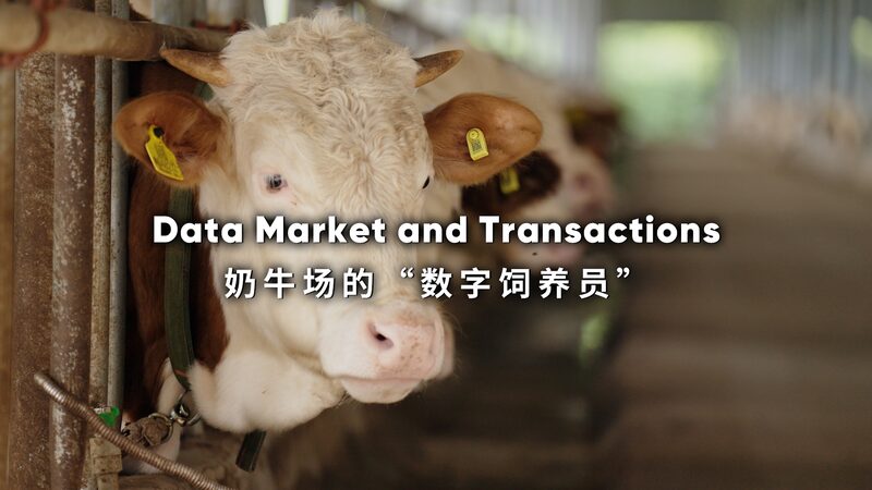 Vacas_inteligentes_en_Guizhou__co_mo_la_tecnologi_a_esta__impulsando_la_agricultura_y_las_finanzas___ video poster