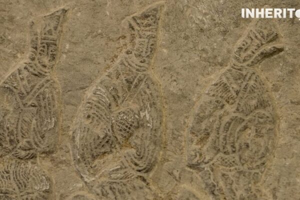 Viaje_a_Trave_s_del_Tiempo___en_el_Museo_de_Arte_de_la_Dinasti_a_Han_de_Luoyang___Descubre_las_Vibras_de_la_Antigua_China_