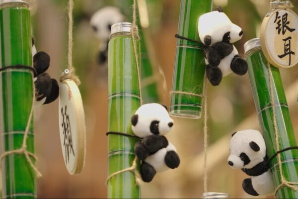 🔥 Vibra de Olla Caliente & 🍵 Tranquilidad del Tiempo de Té: Descubre el Encanto Dual de Chengdu __Vibra_de_Olla_Caliente_____Tranquilidad_del_Tiempo_de_Te___Descubre_el_Encanto_Dual_de_Chengdu video poster