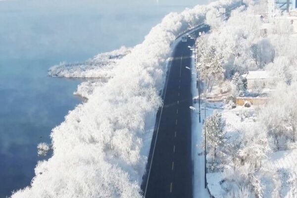 ¡Vive el invierno mágico del noreste de China! ❄️✨ _Vive_el_invierno_ma_gico_del_noreste_de_China_____ video poster