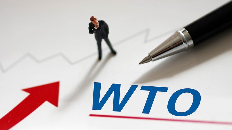 __Voces_Globales_Acusan_a_EE_UU__por_Violaciones_de_la_OMC