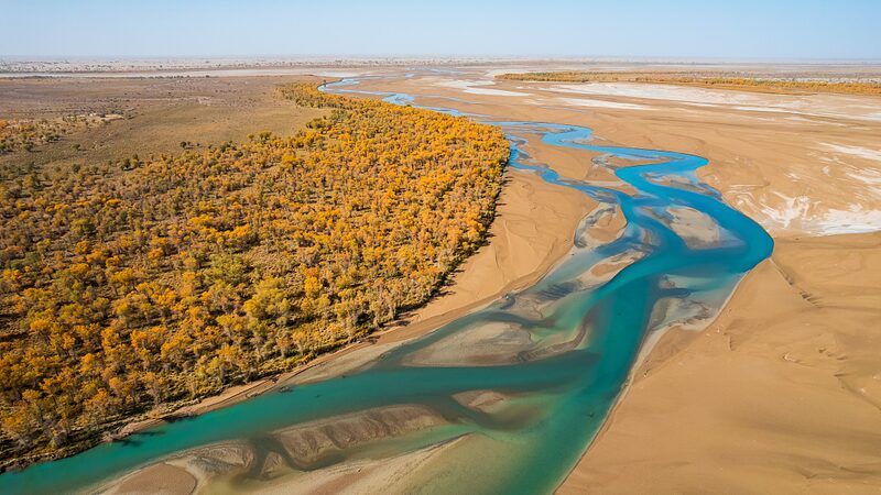 Xinjiang_convierte_inundaciones_en_salvavidas_forestales__salvando_a_lamos_del_desierto___