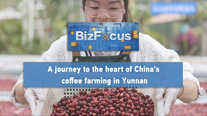Yunnan__El_corazo_n_del_cultivo_de_cafe__en_China video poster