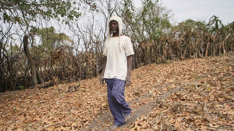 Zimbabue_intensifica_la_ayuda_alimentaria_en_medio_de_la_sequi_a_de_El_Nin_o___