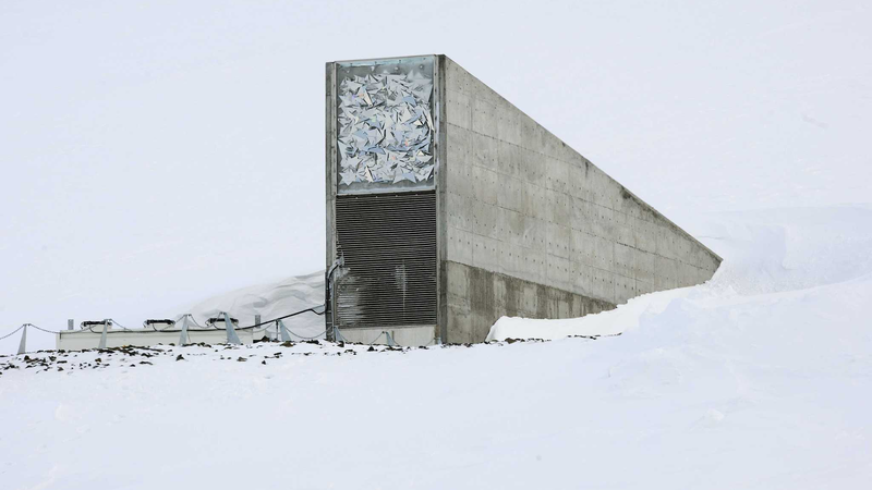 14_000_semillas_de_21_bancos_llegan_al_Depo_sito_Mundial_de_Semillas_de_Svalbard___
