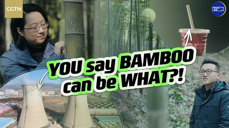 Bambú: El héroe ecológico que salva nuestro planeta 🌿 Bambu___El_he_roe_ecolo_gico_que_salva_nuestro_planeta__