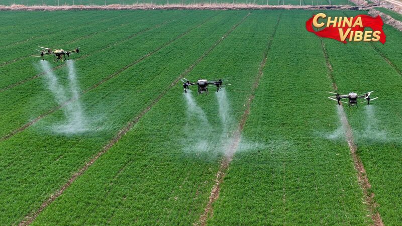 China_presenta_audaces_planes_para_la_revitalizacio_n_rural_en_2025