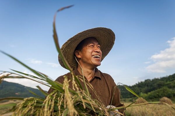 China_presenta_el_documento_central_No__1_para_la_revitalizacio_n_rural_en_2025__