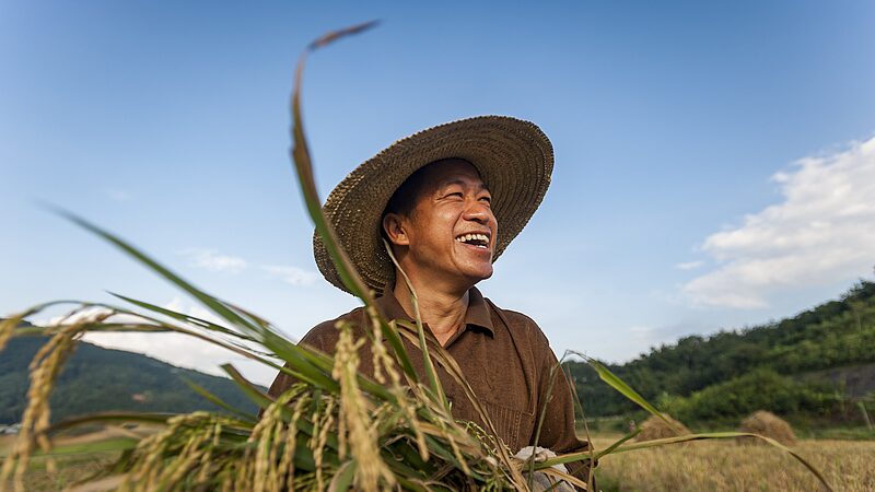 China_presenta_el_documento_central_No__1_para_la_revitalizacio_n_rural_en_2025__