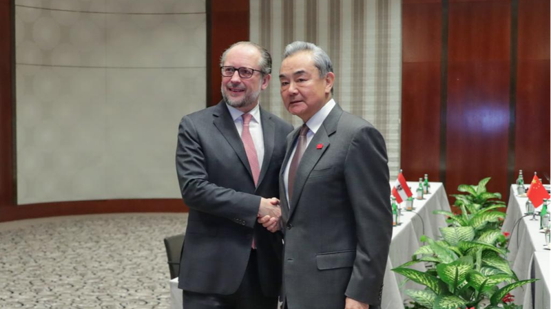 China_y_Austria_se_unen_para_defender_el_multilateralismo_en_la_Conferencia_de_Seguridad_de_Mu_nich