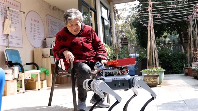 Conoce_al_perro_robot_de_Hangzhou_que_esta__revolucionando_el_cuidado_de_los_ancianos___ video poster