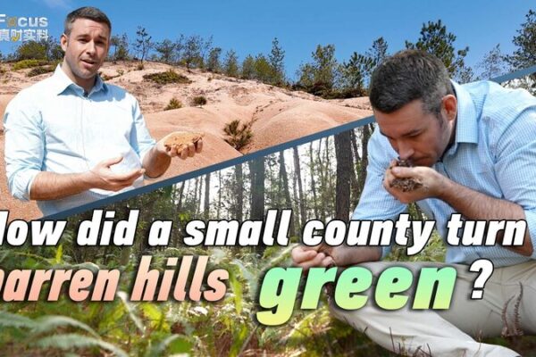 De Colinas Áridas a Paraíso Verde: La Transformación Ecológica de Changting 🌱 De_Colinas_A_ridas_a_Parai_so_Verde__La_Transformacio_n_Ecolo_gica_de_Changting__ video poster