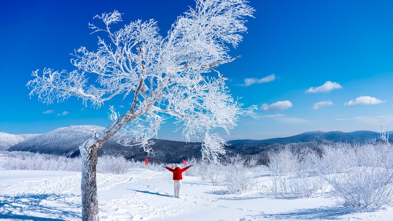 Descubre_la_Montan_a_Yangcao__Un_Pai_s_de_las_Maravillas_Invernal_en_China_Snow_Town_____
