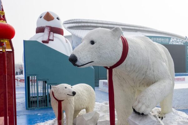 El_Parque_Polar_de_Harbin_sorprende_a_los_visitantes_con_especta_culos_festivos_de_animales_para_el_An_o_Nuevo_Lunar