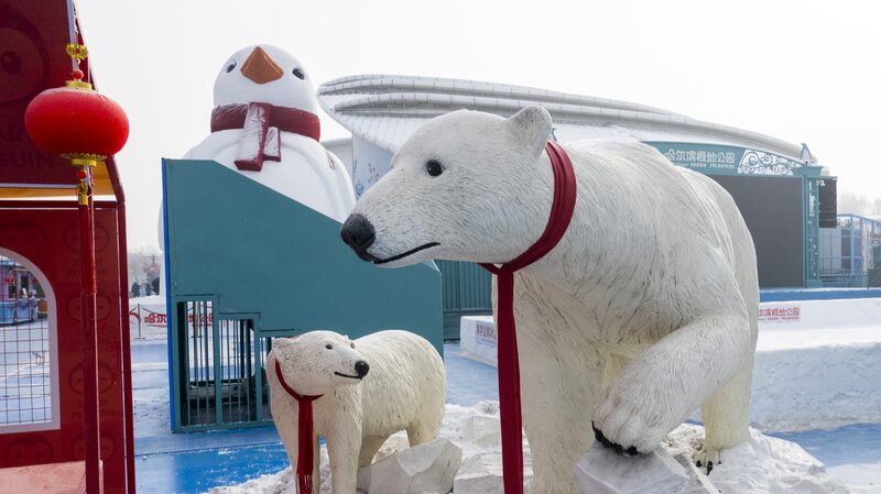 El_Parque_Polar_de_Harbin_sorprende_a_los_visitantes_con_especta_culos_festivos_de_animales_para_el_An_o_Nuevo_Lunar