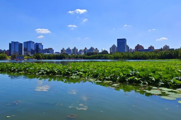 El ambicioso plan de China para eliminar la contaminación severa del aire para 2025 🌿 El_ambicioso_plan_de_China_para_eliminar_la_contaminacio_n_severa_del_aire_para_2025__