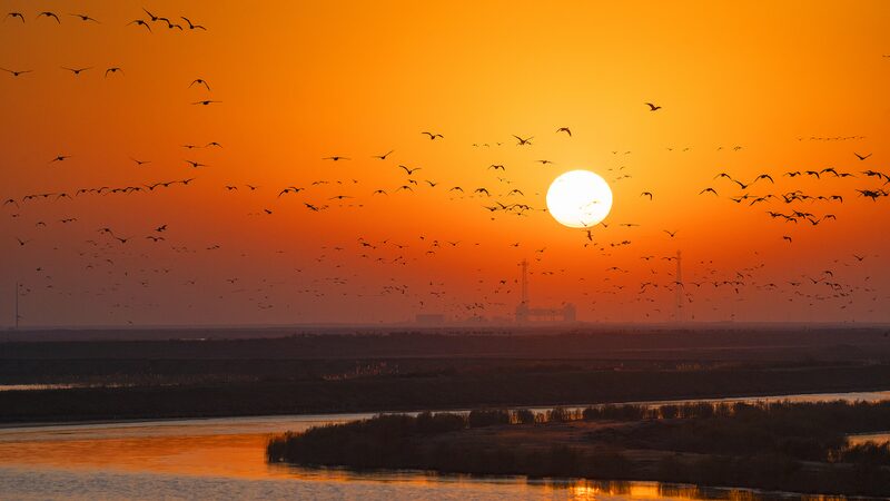 El deshielo del río Amarillo: una majestuosa danza de aves migratorias 🕊️❄️ El_deshielo_del_ri_o_Amarillo__una_majestuosa_danza_de_aves_migratorias_____ video poster