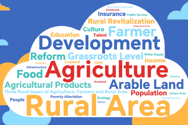 El documento No.1 del continente chino para 2025: Impulsando el crecimiento rural 🌾 El_documento_No_1_del_continente_chino_para_2025__Impulsando_el_crecimiento_rural__