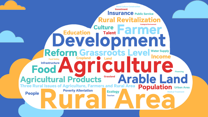El_documento_No_1_del_continente_chino_para_2025__Impulsando_el_crecimiento_rural__