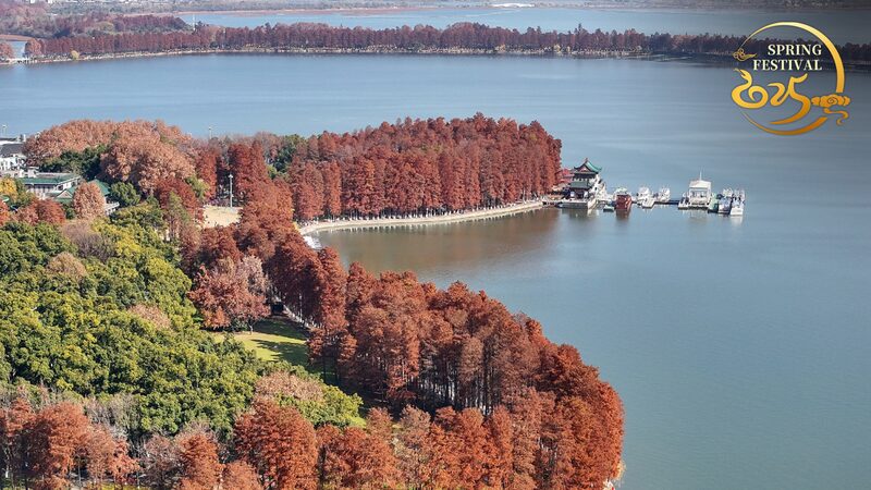En_vivo__Vistas_impresionantes_del_horizonte_de_Wuhan_desde_Chutian_Terrace__ video poster