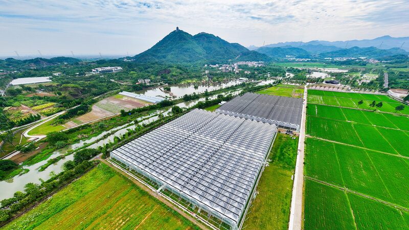 Impulso_de_la_Tecnologi_a_Agri_cola_en_China__Claves_para_2025___