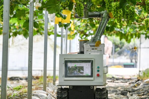 Innovaciones_tecnolo_gicas_impulsan_las_nuevas_fuerzas_productivas_de_la_agricultura___