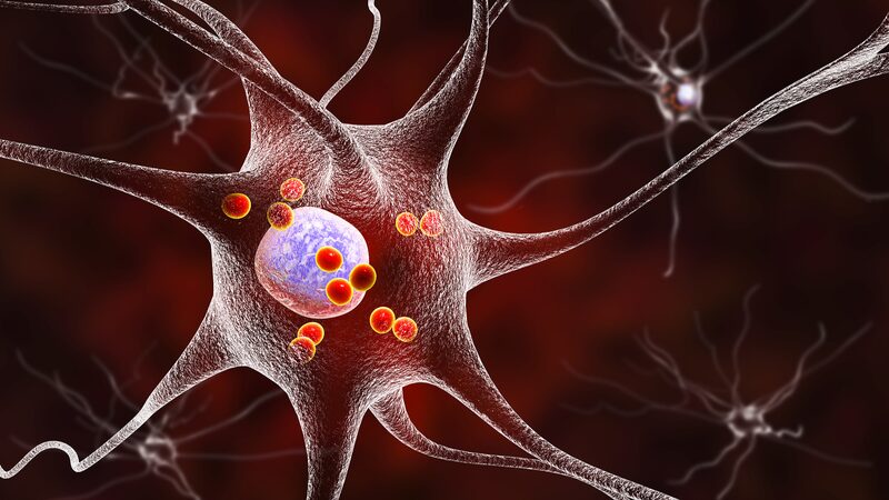 __Investigadores_chinos_revelan_nuevo_objetivo_para_el_tratamiento_del_Parkinson