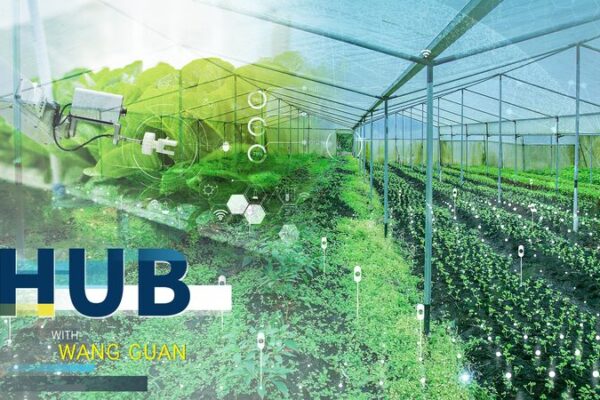La revolución agrícola de China 2025: conoce a la nueva generación de agricultores inteligentes 🌾🚜 La_revolucio_n_agri_cola_de_China_2025__conoce_a_la_nueva_generacio_n_de_agricultores_inteligentes___ video poster