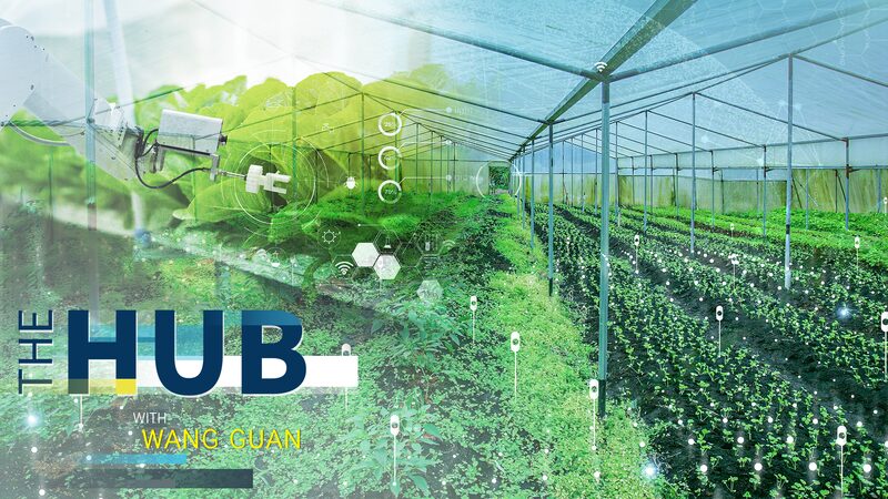 La_revolucio_n_agri_cola_de_China_2025__conoce_a_la_nueva_generacio_n_de_agricultores_inteligentes___ video poster