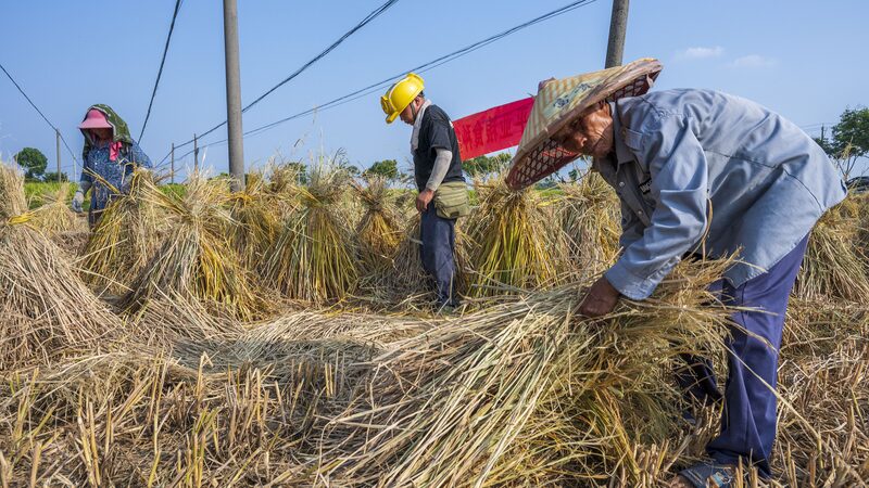 Los_Nuevos_Movimientos_de_China_para_Mantener_a_Millones_Fuera_de_la_Pobreza___