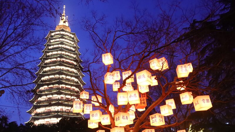 Los__A_rboles_Bendecidos__Iluminan_el_Parque_Hongmei_de_Changzhou