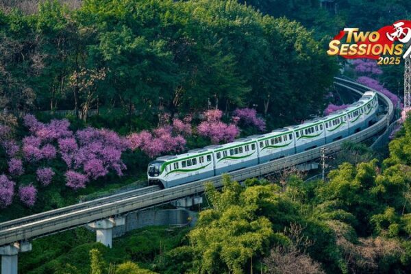 Los_paisajes_primaverales_de_Chongqing__flores_de_ciruelo_y_trenes_crean_una_escena_impresionante video poster