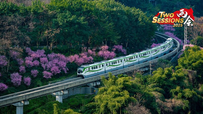 Los_paisajes_primaverales_de_Chongqing__flores_de_ciruelo_y_trenes_crean_una_escena_impresionante video poster