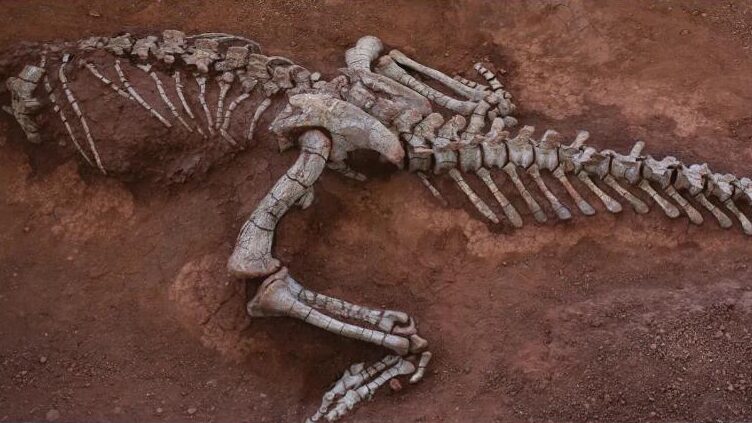 Nueva_Especie_de_Sauro_podo_Descubierta_en_el_Suroeste_de_China__