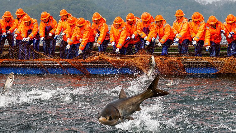 _Pescadores_de_Zhejiang_celebran_una_gran_pesca_en_el_Lago_Qiandao____