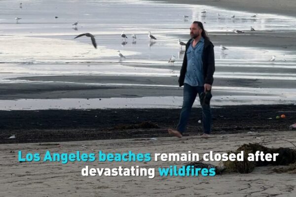 Playas_de_Los_A_ngeles_cerradas_por_escorrenti_a_to_xica_tras_incendios_forestales___ video poster