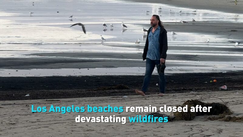 Playas_de_Los_A_ngeles_cerradas_por_escorrenti_a_to_xica_tras_incendios_forestales___ video poster