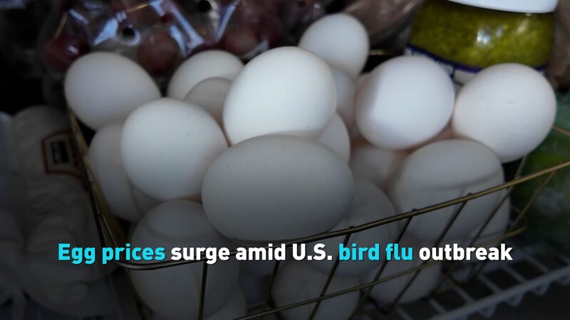 Precios de los huevos se disparan en EE. UU. debido a un brote de gripe aviar 🥚🦢 Precios_de_los_huevos_se_disparan_en_EE__UU__debido_a_un_brote_de_gripe_aviar___ video poster