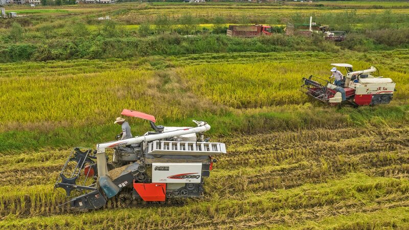 El primer ministro Li Qiang fortalece la seguridad alimentaria y la revitalización rural