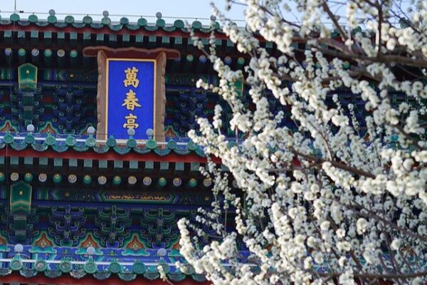 Beijing en Flor: La Magia de la Primavera en el Parque Jingshan Beijing_en_Flor__La_Magia_de_la_Primavera_en_el_Parque_Jingshan