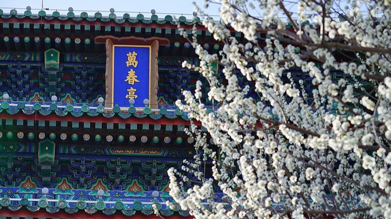 Beijing_en_Flor__La_Magia_de_la_Primavera_en_el_Parque_Jingshan