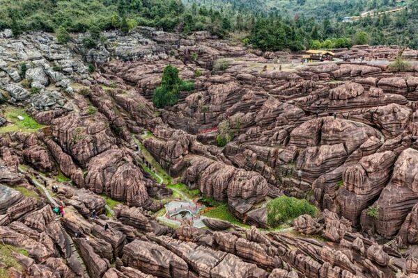 Bosque_Rojo_Encantador_en_Chongqing