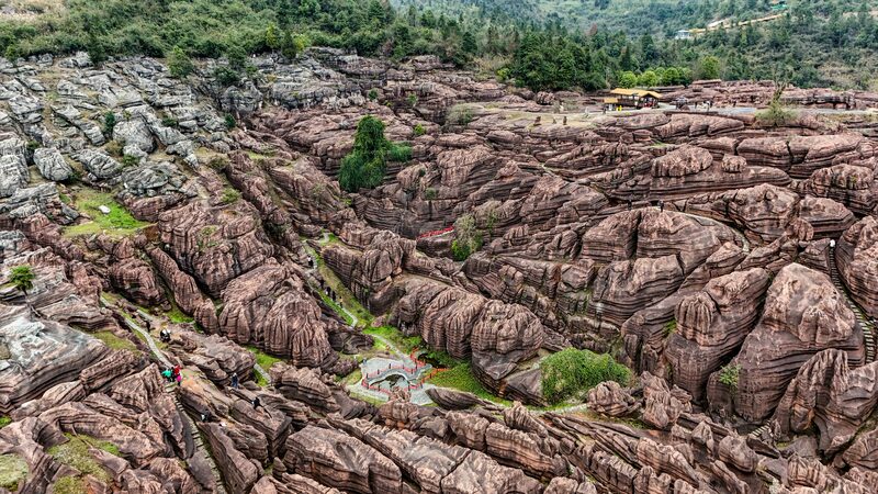 Bosque_Rojo_Encantador_en_Chongqing