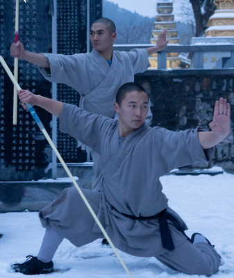 Kung-fu Shaolin: Fuerza, Velocidad y Sinergia en Acción video poster