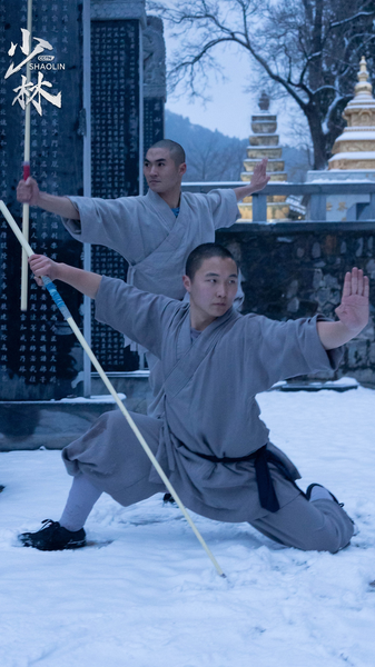 Kung-fu Shaolin: Fuerza, Velocidad y Sinergia en Acción video poster